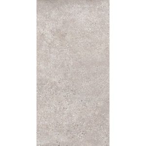 T-STONE LIGHT GREY MATT 300X600 TS3602