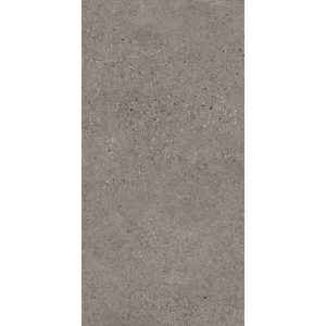 T-STONE ASH GREY MATT 300X600 TS3605