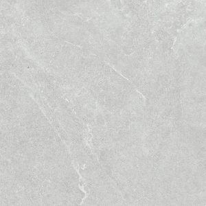 VENUS LIGHT GREY MATT 600X600MM 60LH01R