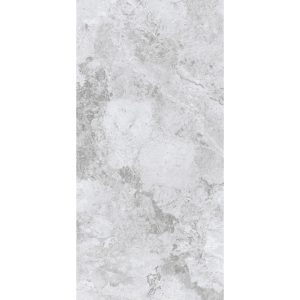 ARCTIC TUNDRA GREY MATT 600X1200MM 12S75806-M
