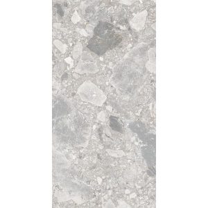 VERONA SILVER TERRAZZO MATT RECTIFIED 300X600MM TZ6302