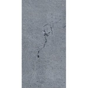 20MM PORCELAIN BLUESTONE EXTERNAL PAVER 300X600 36OT2021AS