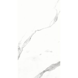 STATUARIO BIANCO MATT 300X600MM EMC63H320