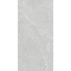 VENUS LIGHT GREY MATT 300X600MM 36LH01R