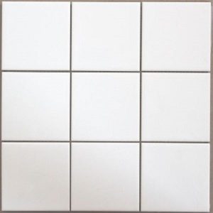 WHITE GLOSS WALL 100X100 WG11N1/B101 (LOOSE)